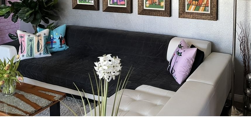 Sofa Cover And Protector