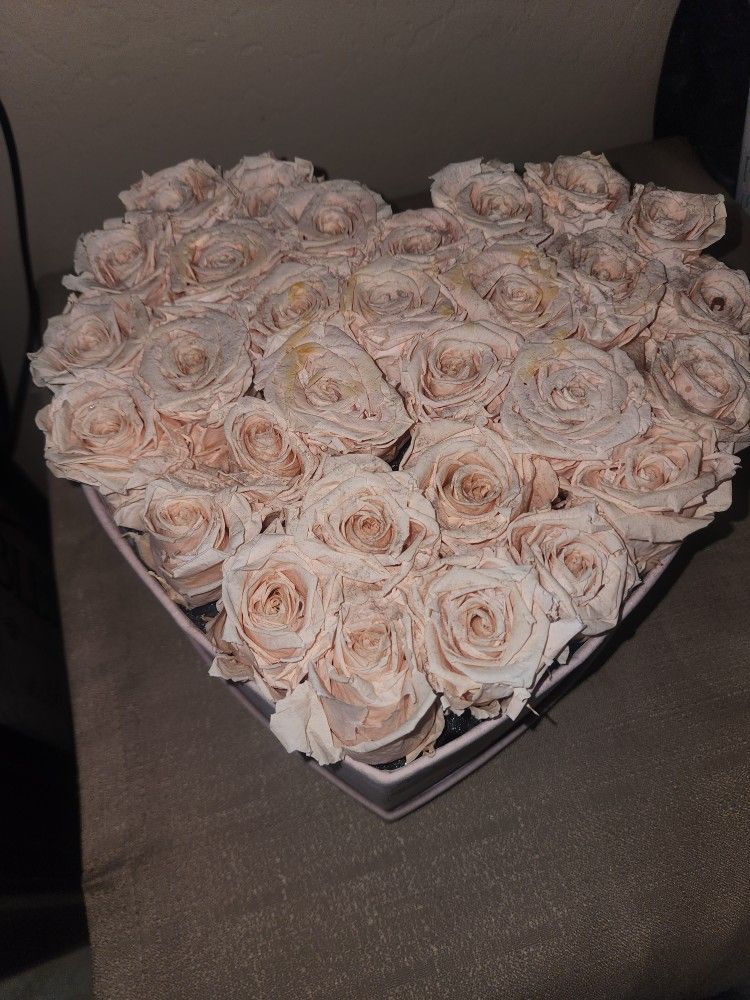Forever Roses