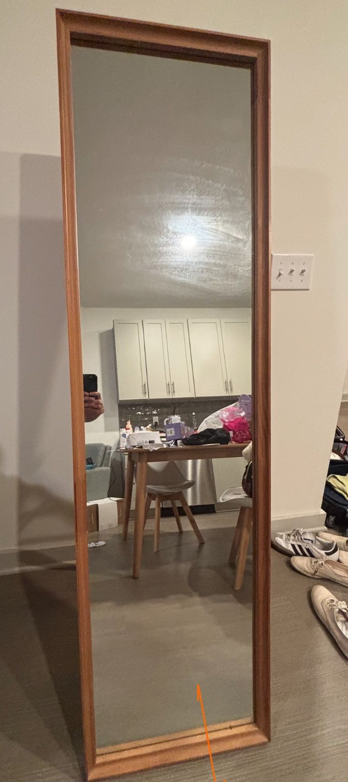 Mirror 65x18 Inch