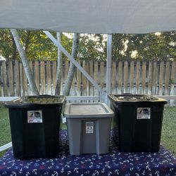 Set Of 3 Plastic Boxes Whit Lids , Med- Large Size 