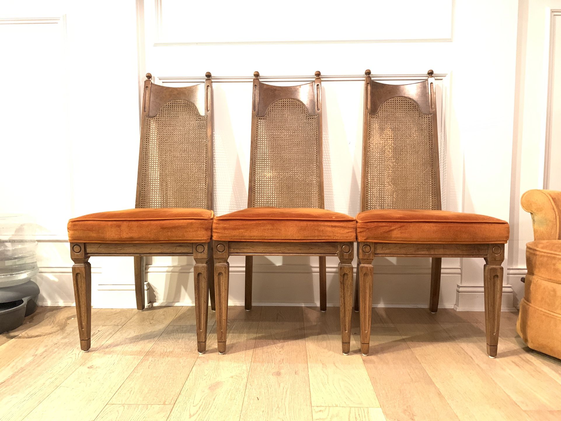 Cane Back Dining Chairs 