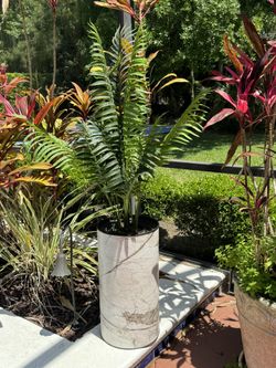 Artificial Green Plant