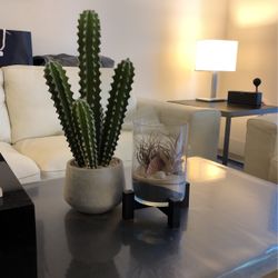 Artificial Decor (Trade Welcome)