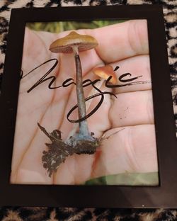 Framed Mushroom Photo Print Wall Art Magic Mushroom black Frame