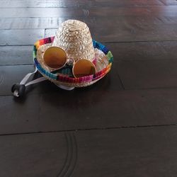 Little Sombrero & Sun Glasses Pet Costume