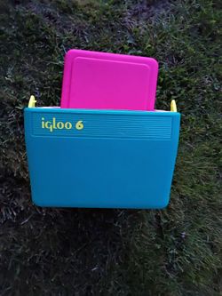 Small Igloo Beverage Box or Cold Sandwiches