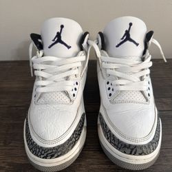 Jordan 3 “ Dark Iris” Size: 10.5 Replacement Box 