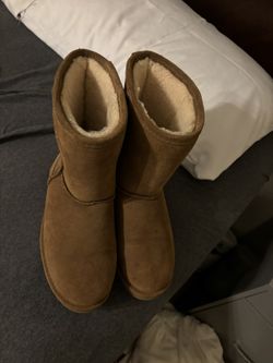 Bear paw Boots