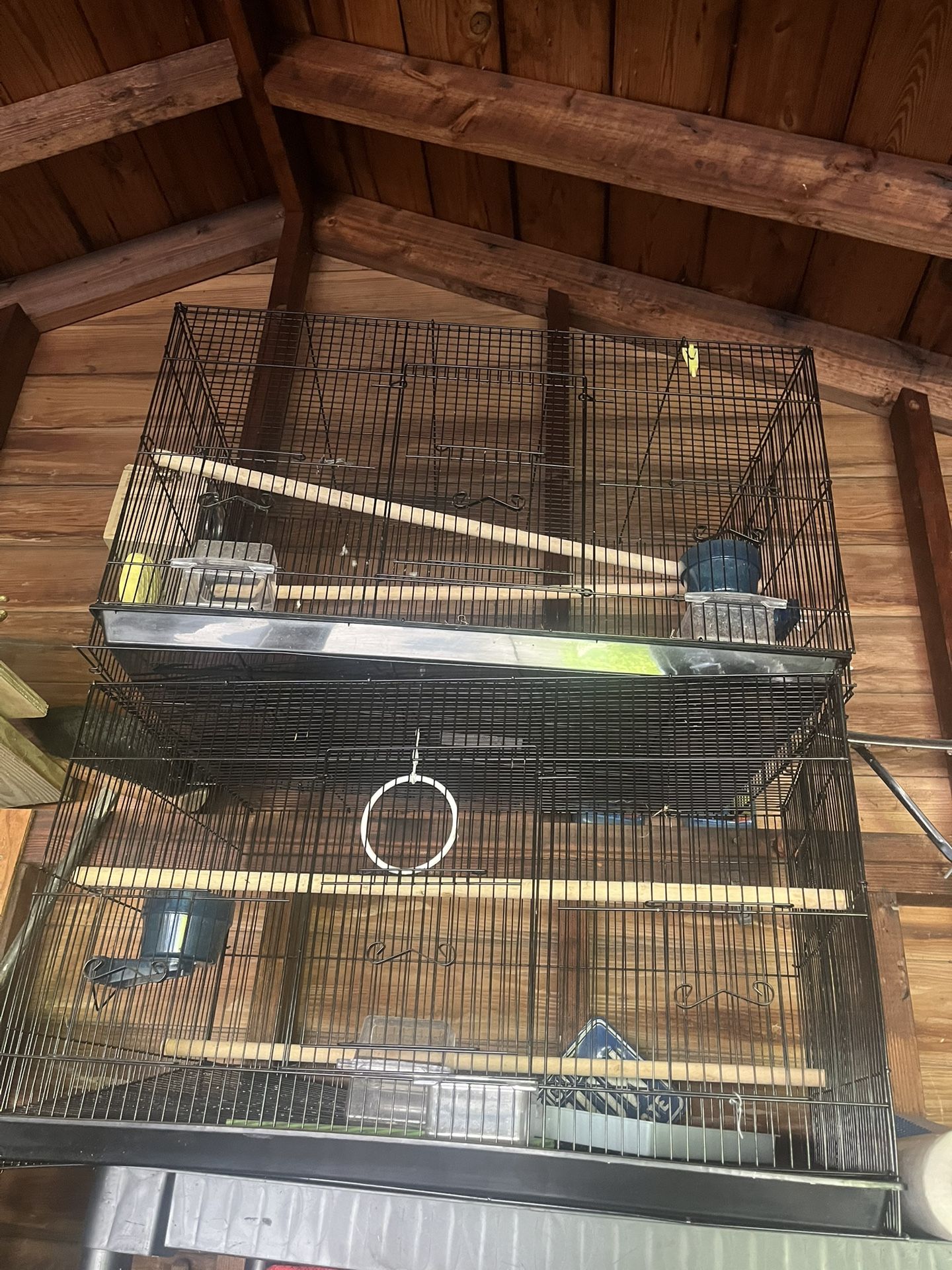 Bird Cages