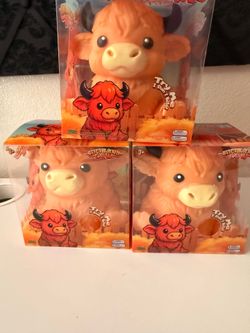 Highland cow