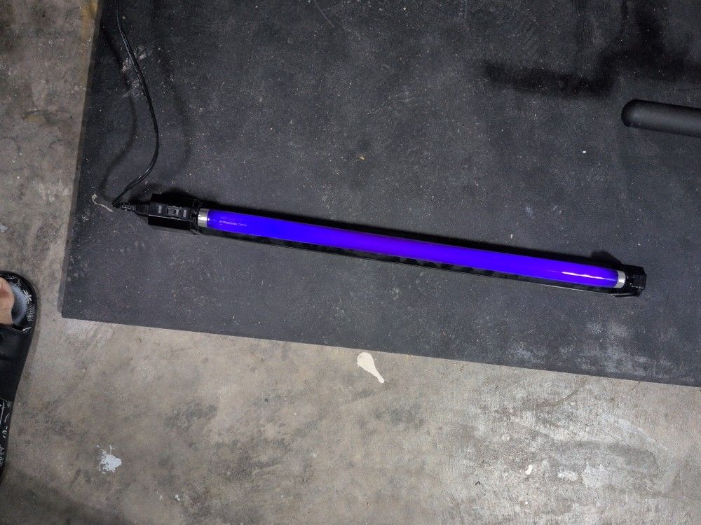 Blacklight