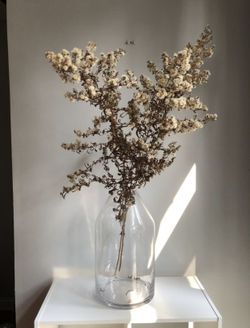 Glass vase with Dried Flowers