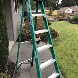 Werner 6 Foot Ladder 