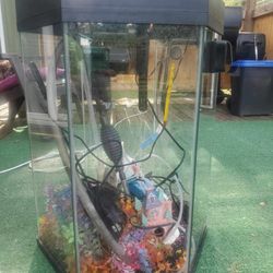Aquarium For Fish