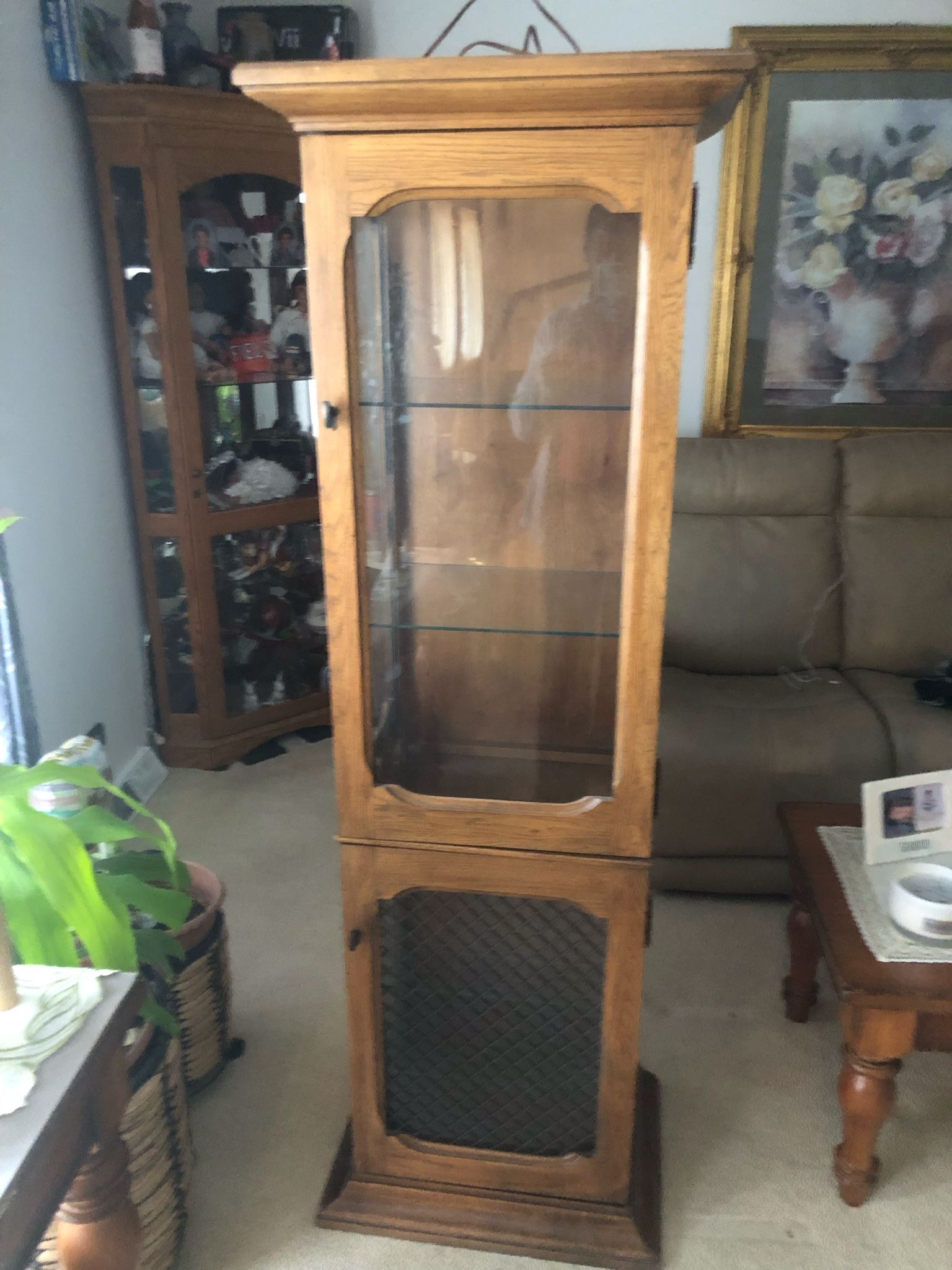Brown Display Showcase Cablet