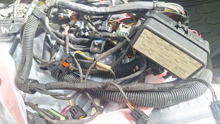 SEADOO RXP 255 MAIN WIRE HARNESS AND FUSE BOX 2 SETS