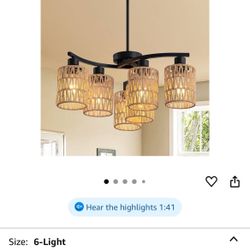 Ceiling Lamp New $40