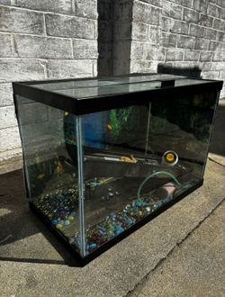 Fish tank