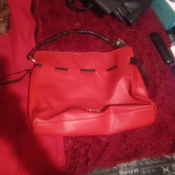 Badgley Mischka Purse 