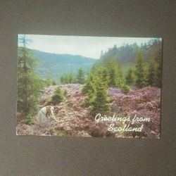 1990 Great Britain Heather In Scotland Mountains Highlands Air Mail Stamp Postage Photography Photo Postcard Vintage Collectible RPPC Post Card PC