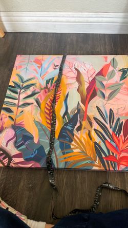 Canvas new $5 each