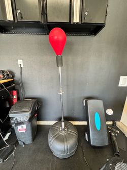 Speed bag