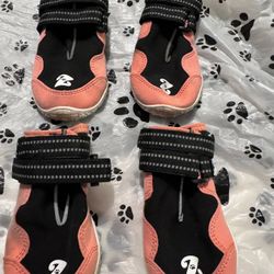 Dog Shoes 