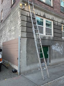 Werner 14ft ladder