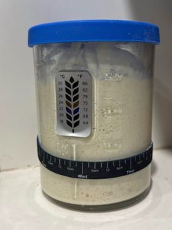 Sourdough starter