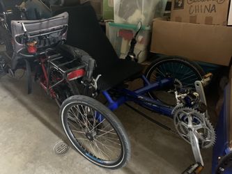 Gekko Trike Bikes