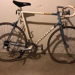 Vintage 1989 Centurion Ironman
