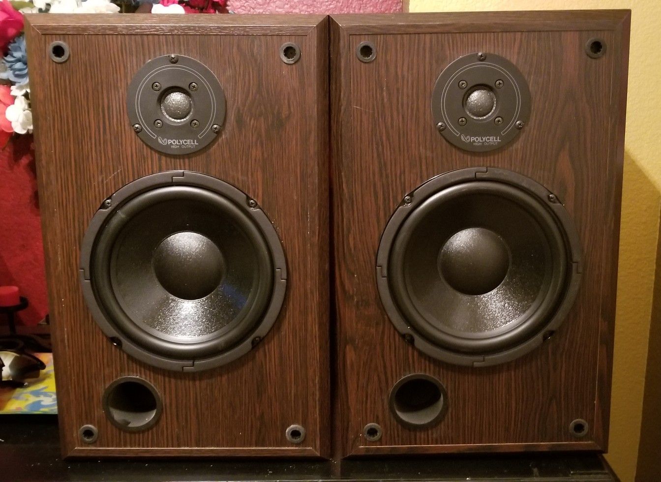 Infinity SM80 speakers