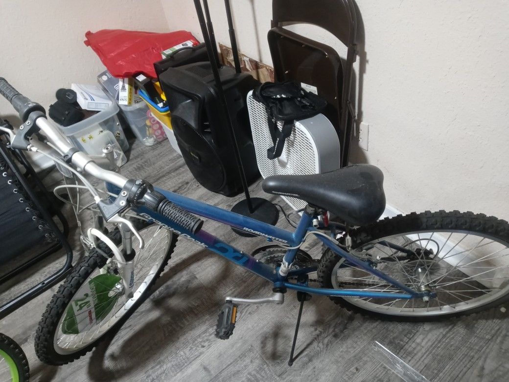 ROADMASTER 24inch MOUNTAIN BIKE