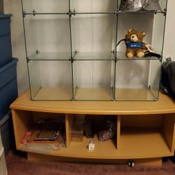 Moving MUST Sell Display/storage Cabinet