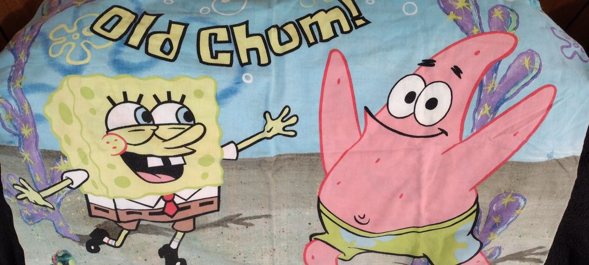 SpongeBob Pillow Cases