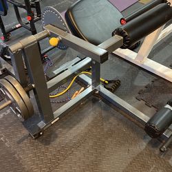 Hudsonsteel Ab - Back Exercise Machine