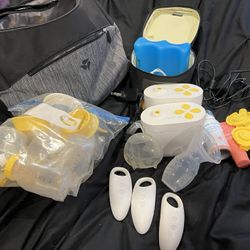 Medela Pump-in style