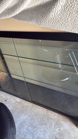 Collectables case