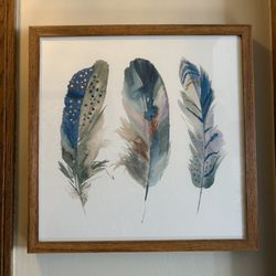 Feather Picture 