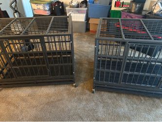 DOG KENNELS (30”x48”)