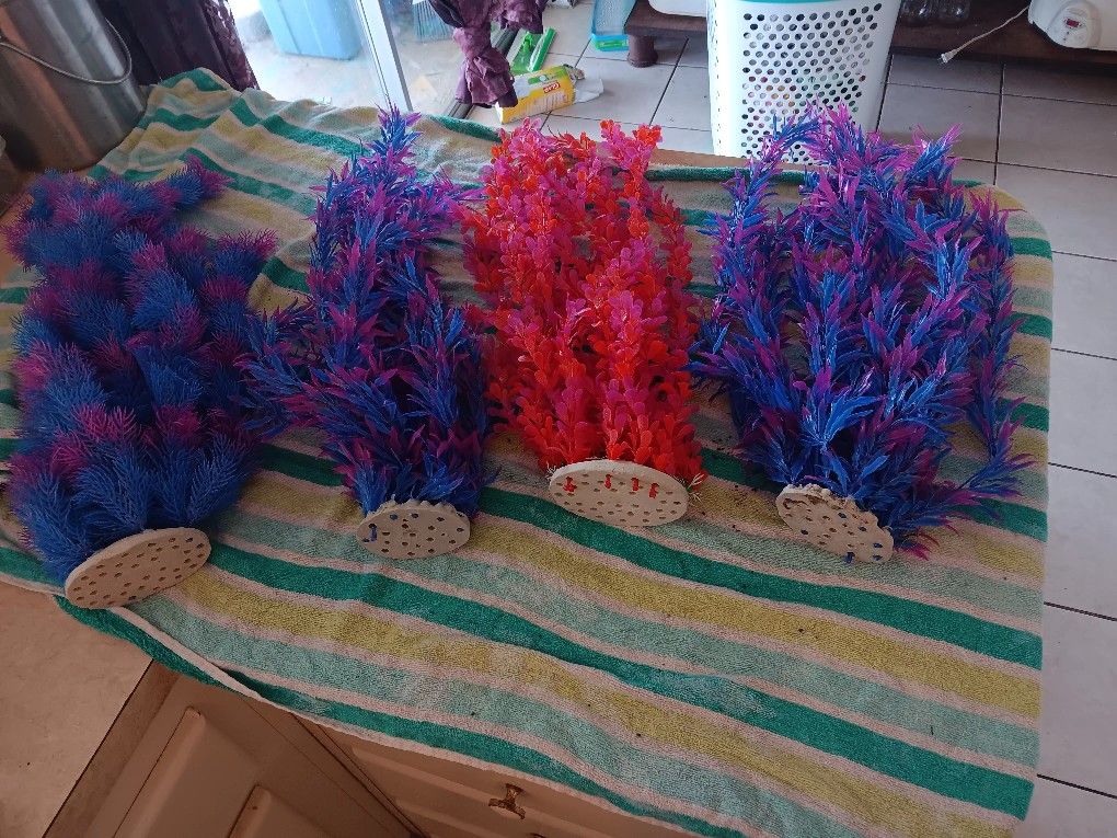 Aquarium Decorations