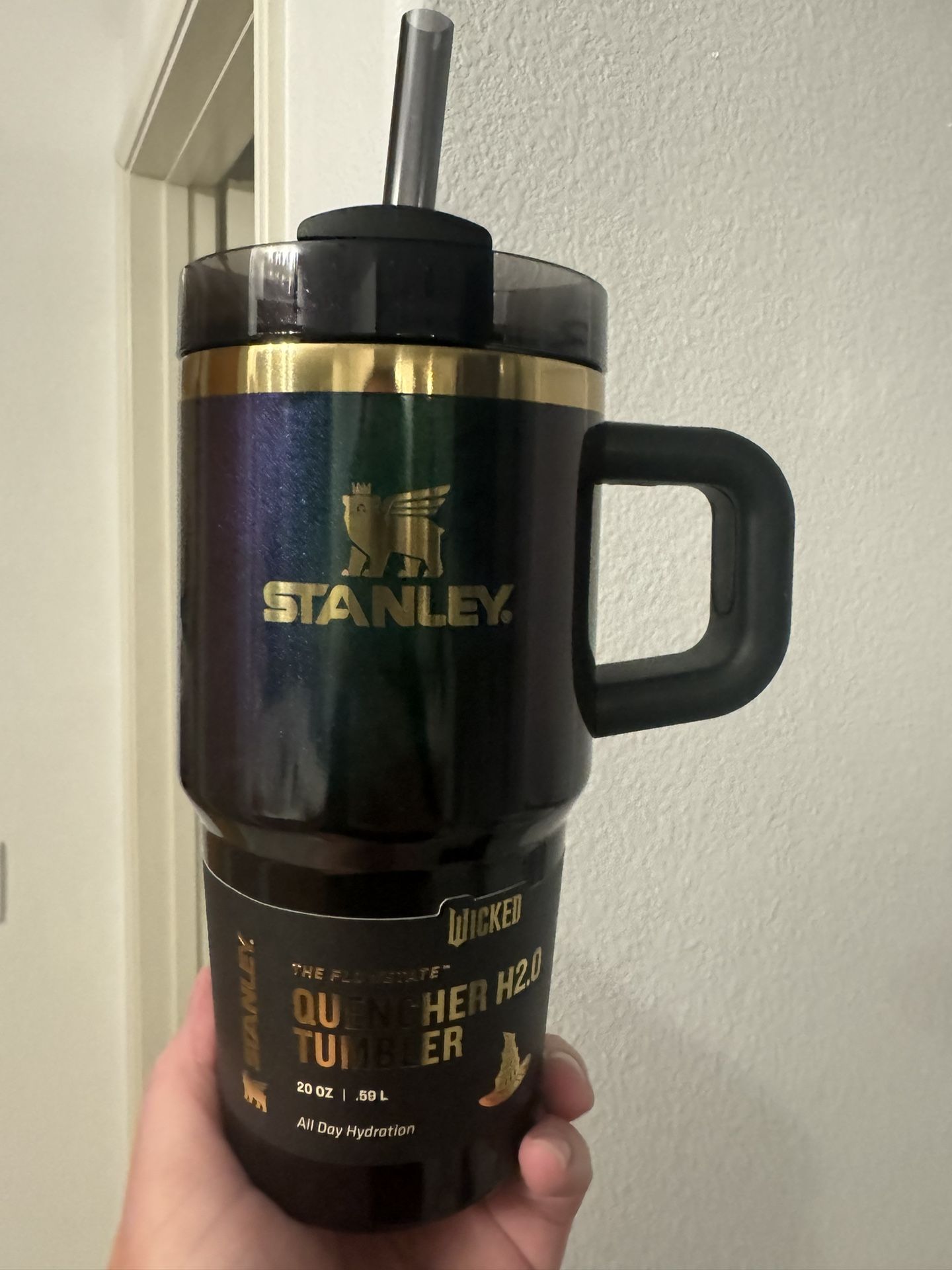 Wicked x Stanley 20 Oz Elphaba For Good