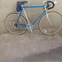 Sterling Size 700 Speed 14 Frame 58cm