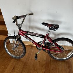 Bicycle 20 Inch Kids 