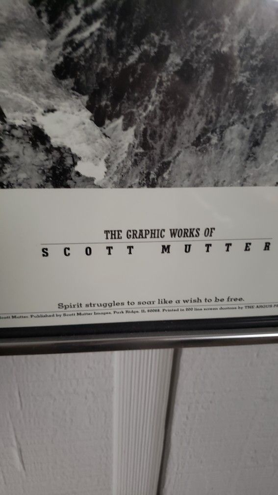 25" X 18.5" Graphic Works Of Scott Mutter " SPIRIT STRUGGLES TO SOAR LIKE A WISH TO BE FREE