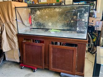 150gal LeeMar StarFire Glass Euro Brac Overflow Polished edges