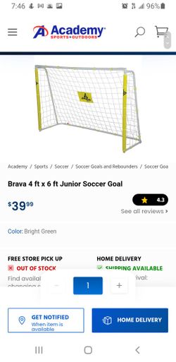 Junior Soccer Goal