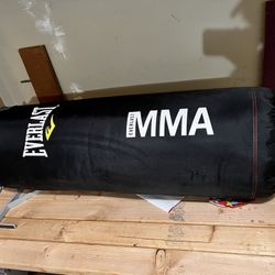 Everlast Punching Bag 70 LBs
