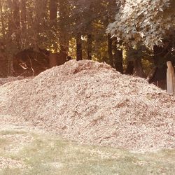 Wood Chip Mulch 