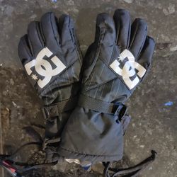 DG Ski and Snowmobile Gloves